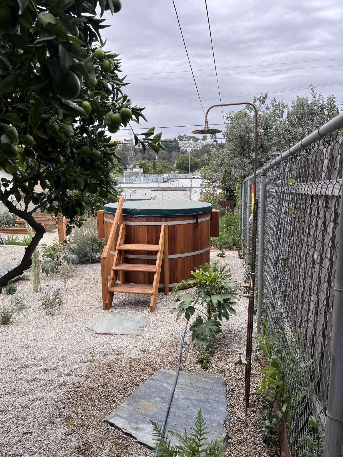 Cedar tub under the fruit trees in Piedmont